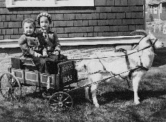 Ann Haydock, Ruth Haydock JPG